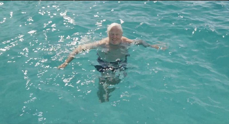 Pressebild aus Sterben für Anfänger - Meer