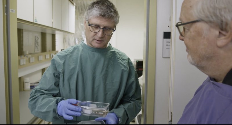 Pressebild aus Sterben für Anfänger - Zellen